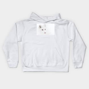 Arctic Fox closeup Kids Hoodie